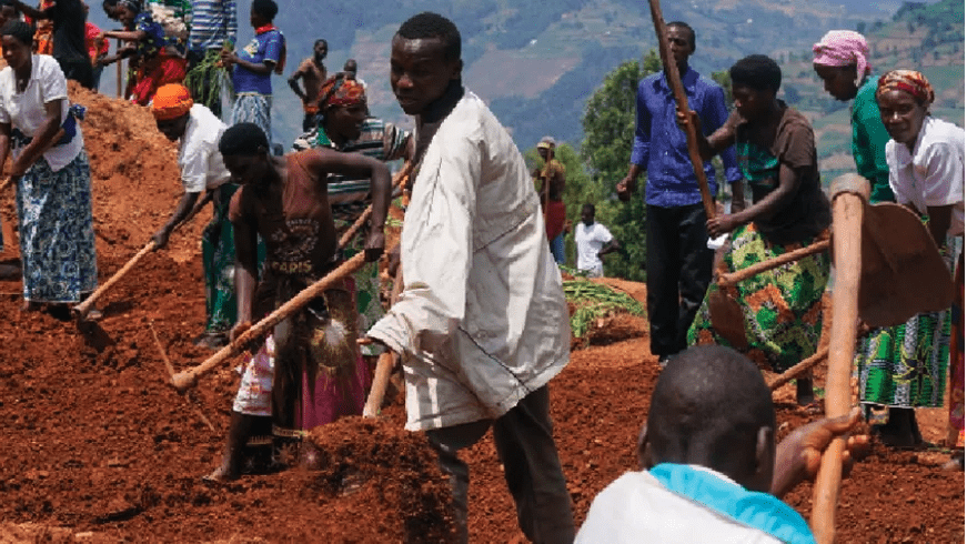 COVID-19: Agric activities continue during lockdown